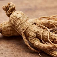 Extrato de ginseng coreano